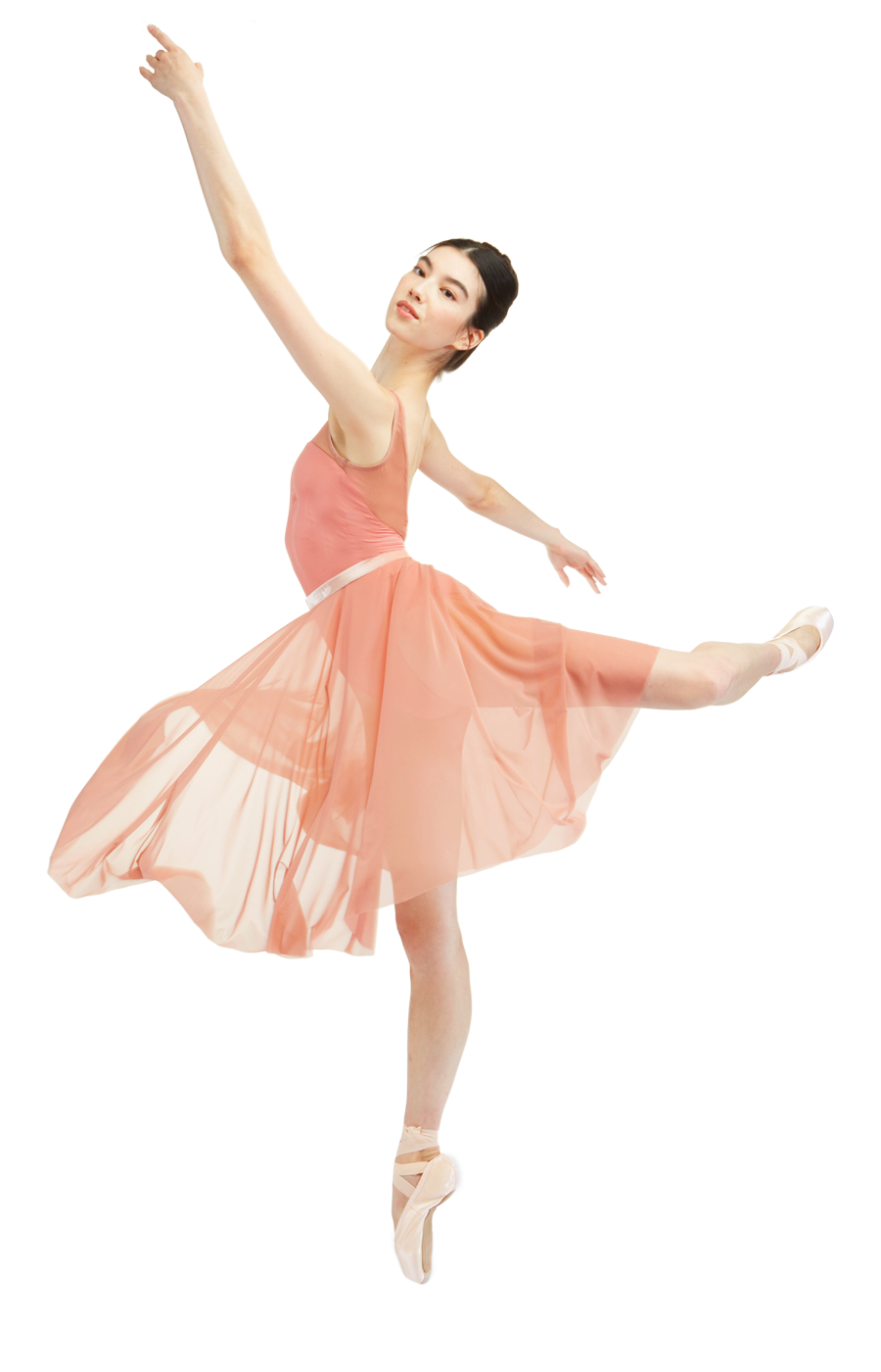 Lyra pointe shoe hero - dancer in pink dress attitude pose