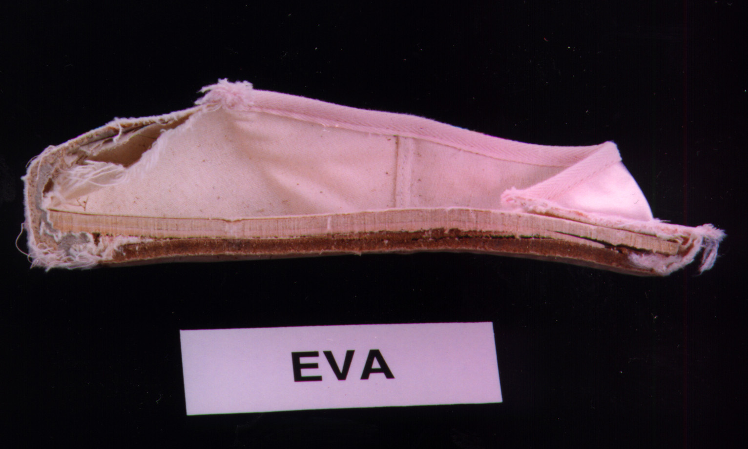 Eva